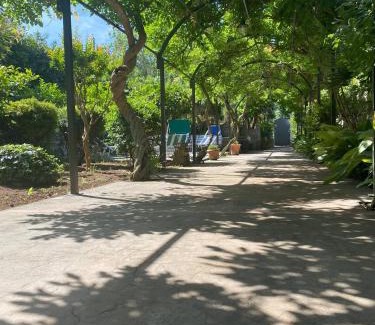 Tiberio Villa | Villa Marino in Aurora