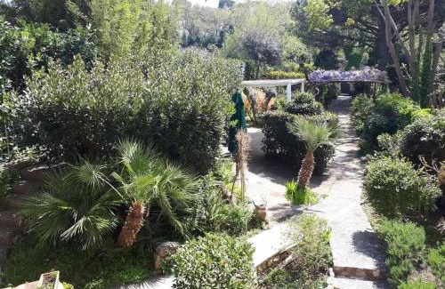 Tiberio Villa | Villa Marino in Aurora