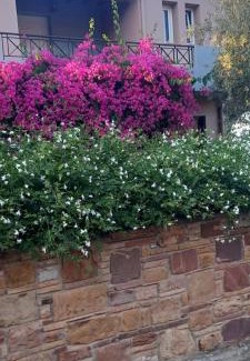 Karfas Apartment | Villa Marisia