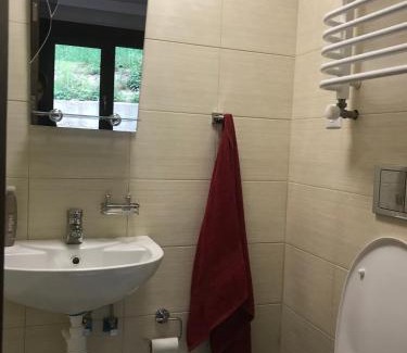 Vyzhnytsya Hotel | Villa Medova