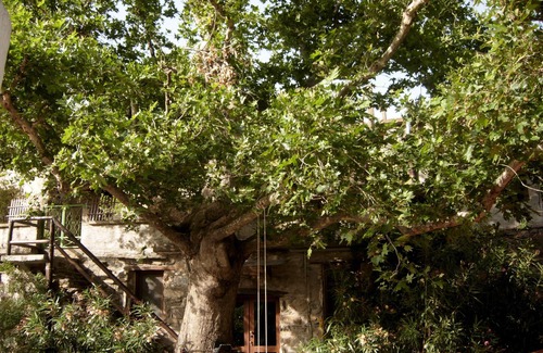 Perivolia Villa | Villa Meli Zachari Fabrica