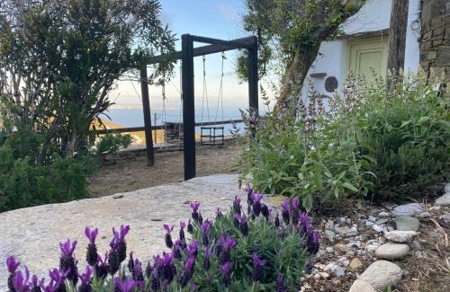 Arnados Villa | Villa Meltemi
