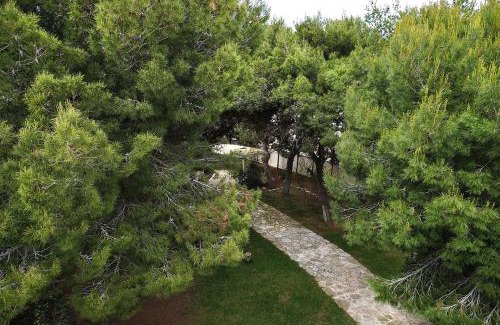 Lendinuso Villa | Villa Memia