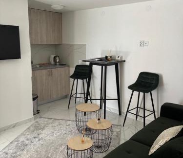 Vinkovci Apartment | Villa Mila