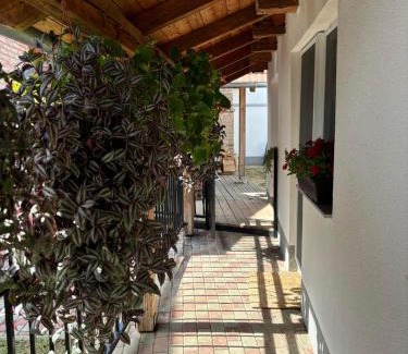 Vinkovci Apartment | Villa Mila