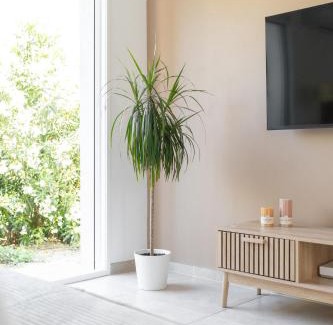 Marignane Villa | Villa Mimosa