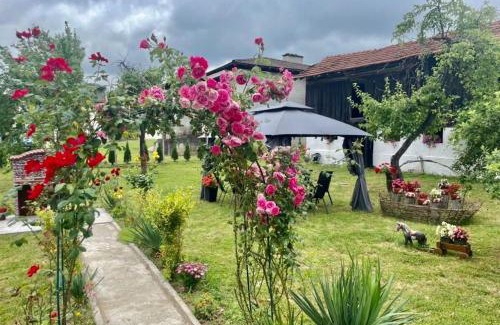 Troyan House | Villa Mirela