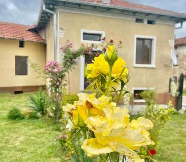 Troyan House | Villa Mirela