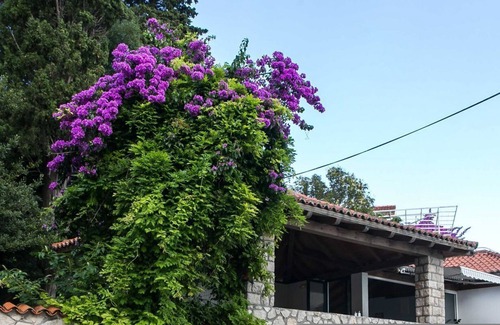 Mlini Apartment | Villa Mirjana - Standard Studio Apartment with Terrace and Sea View (Lavanda)