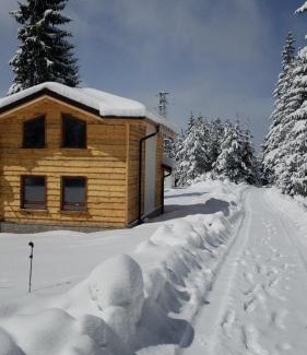 Pamporovo Villa | Villa Mischa