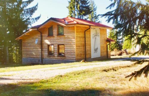 Pamporovo Villa | Villa Mischa