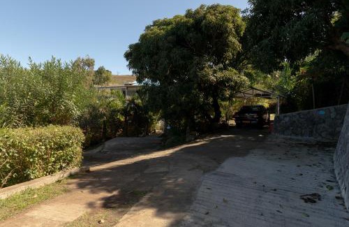 Coromandel Villa | Villa Mon Refuge