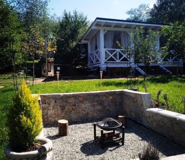 Lupeni Apartment | Villa Monica
