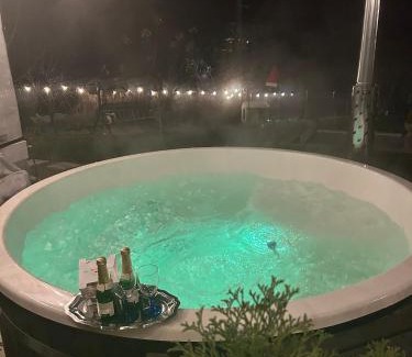 Lupeni Apartment | Villa Monica
