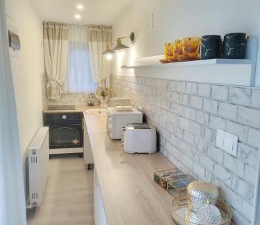 Lupeni Apartment | Villa Monica