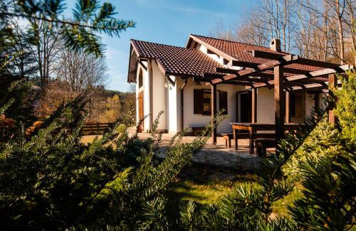 Valiug Villa | Villa MontePalazzo Valiug - 1 km from Ponton Casa Baraj