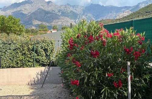 Calenzana Apartment | villa Morgane