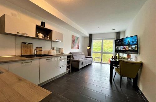 Cochem Apartment | Villa Moselufer, schönste Aussicht, Luxuriös, Netflix, Burg Cochem