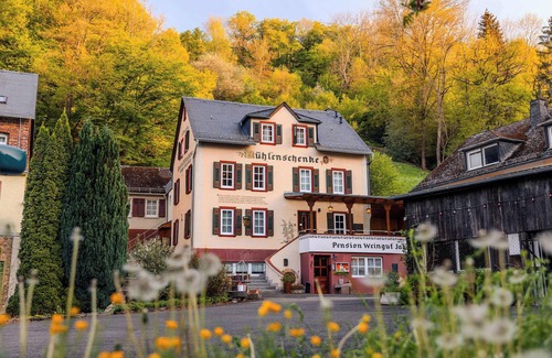 Sankt Goar House | Villa Muehlenschenke Game-Room Vineyard and more