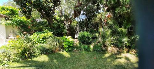 Cavaliere Villa | Villa netibor