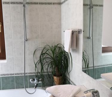 Dornberk Apartment | Villa Nona, Flat 3 with swimming pool