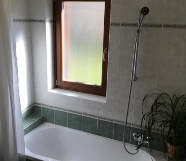 Dornberk Apartment | Villa Nona, Flat 3 with swimming pool