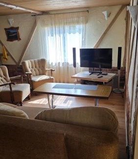 Roja Villa | Villa Oši