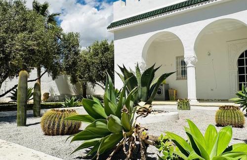 Hamma Villa | Villa Oasis