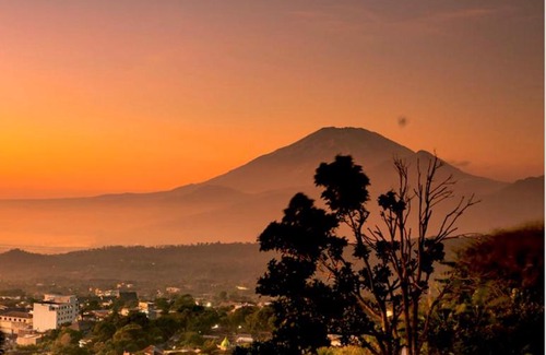 Ambarawa Villa | Villa Okayo