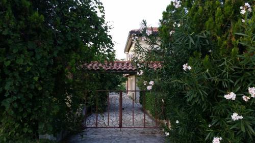 Martinsicuro Apartment | Villa Oleandro