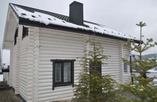 Polyanytsya Apartment | Villa Olexandr&Matvii