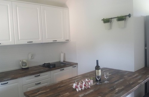 Cove Osibova (Milna) Villa | villa olives
