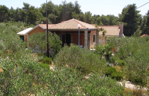 Cove Osibova (Milna) Villa | villa olives