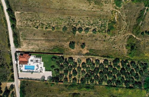 Zadar Villa | Villa Olivetum