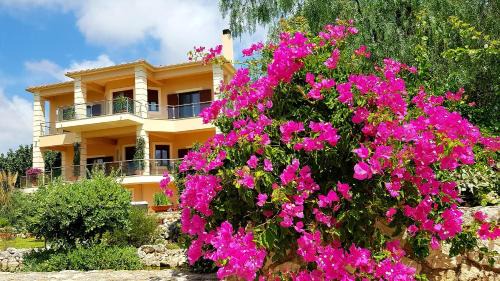 Karavados Villa | Villa Omega Kefalonia