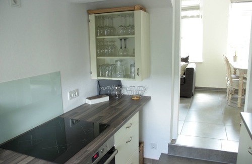 Laubegast House | Villa on the Elbe, large terrace with a view of the Elbe, separate entrance, free WiFi
