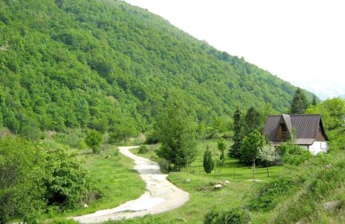 Dihovo House | Villa ORKA Pelister - Forest Zone
