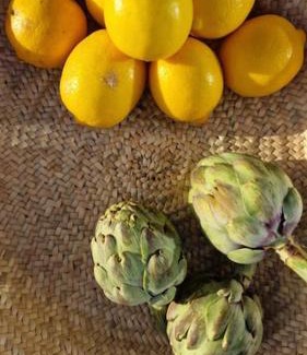 Maguez Apartment | Villa Osaya