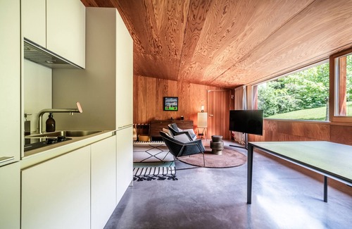 Thonon-les-Bains Villa | Villa 'Otoctone Bord Du Lac Léman' with Lake View, Wi-Fi and Air Conditioning