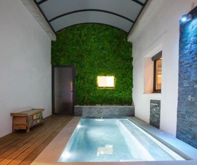 L'Isle-sur-la-Sorgue Villa | VILLA PALMA & SPA