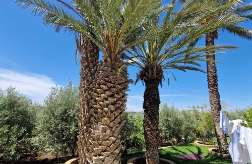 Ouislane Villa | Villa Palmengarten Meknés bei Fes