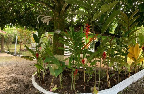 Pereira Cottage | Villa Palmera, Cabañas