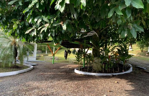 Pereira Cottage | Villa Palmera, Cabañas