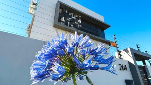 Vacoas-Phoenix House | Villa Palmeras - 4 Bedrooms AC Modern Luxury Villa