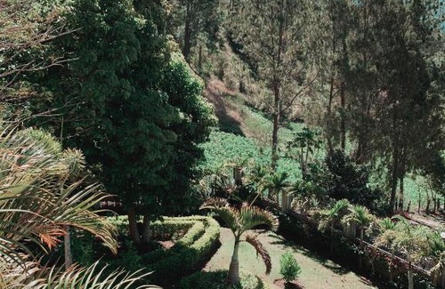 Constanza Villa | Villa paloma