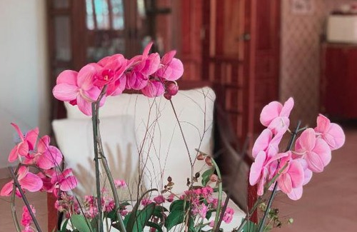 Constanza Villa | Villa paloma