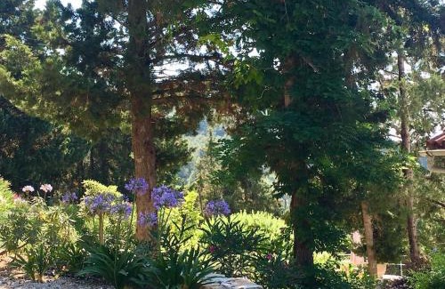 Paxos Villa | Villa Paparouna