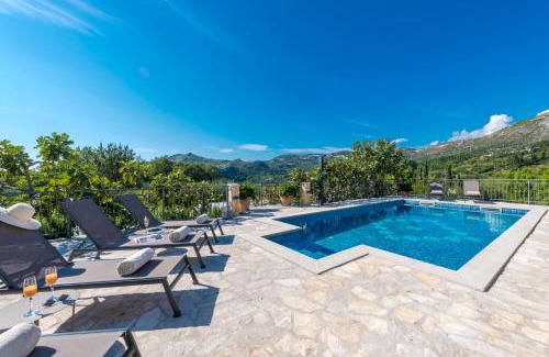Zupa dubrovacka Villa | Villa Paulina