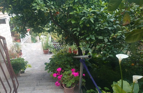Molunat Apartment | Villa Peragić - Triple Room with Balcony