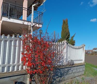 Lombriasco Apartment | Villa Pia